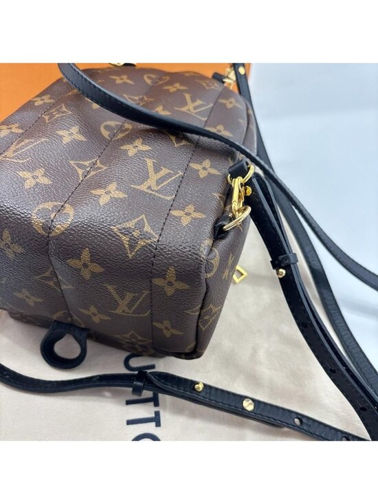 Louis Vuitton Palm Springs Mini Backpack Monogram main image 8